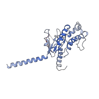 4390_6gdg_D_v1-1
Cryo-EM structure of the adenosine A2A receptor bound to a miniGs heterotrimer