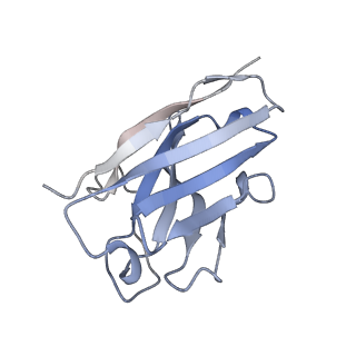 4390_6gdg_E_v1-1
Cryo-EM structure of the adenosine A2A receptor bound to a miniGs heterotrimer