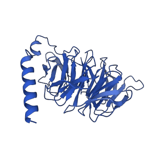 29952_8ge1_B_v1-2
CryoEM structure of beta-2-adrenergic receptor in complex with nucleotide-free Gs heterotrimer (#2 of 20)