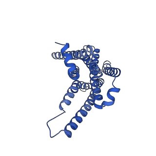 29952_8ge1_R_v1-2
CryoEM structure of beta-2-adrenergic receptor in complex with nucleotide-free Gs heterotrimer (#2 of 20)