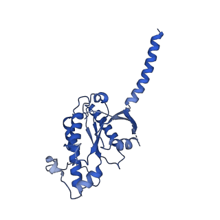 29953_8ge2_A_v1-2
CryoEM structure of beta-2-adrenergic receptor in complex with nucleotide-free Gs heterotrimer (#3 of 20)