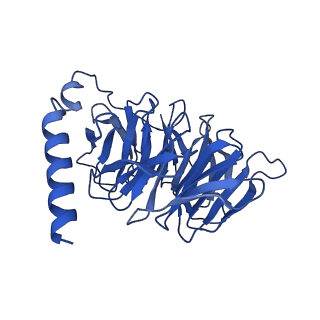 29953_8ge2_B_v1-2
CryoEM structure of beta-2-adrenergic receptor in complex with nucleotide-free Gs heterotrimer (#3 of 20)