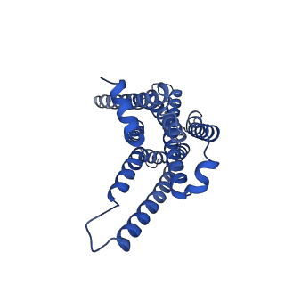 29953_8ge2_R_v1-2
CryoEM structure of beta-2-adrenergic receptor in complex with nucleotide-free Gs heterotrimer (#3 of 20)