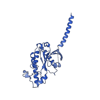 29954_8ge3_A_v1-2
CryoEM structure of beta-2-adrenergic receptor in complex with nucleotide-free Gs heterotrimer (#4 of 20)