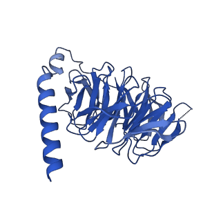 29954_8ge3_B_v1-2
CryoEM structure of beta-2-adrenergic receptor in complex with nucleotide-free Gs heterotrimer (#4 of 20)