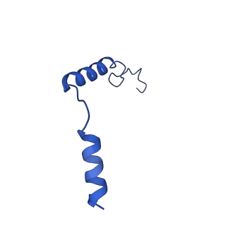 29954_8ge3_G_v1-2
CryoEM structure of beta-2-adrenergic receptor in complex with nucleotide-free Gs heterotrimer (#4 of 20)