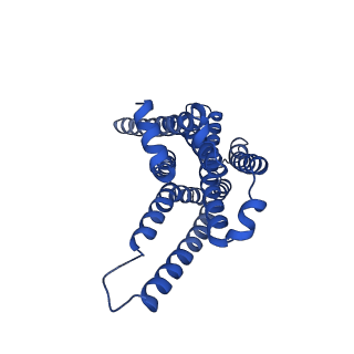 29954_8ge3_R_v1-2
CryoEM structure of beta-2-adrenergic receptor in complex with nucleotide-free Gs heterotrimer (#4 of 20)