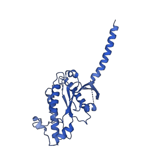 29955_8ge4_A_v1-2
CryoEM structure of beta-2-adrenergic receptor in complex with nucleotide-free Gs heterotrimer (#5 of 20)