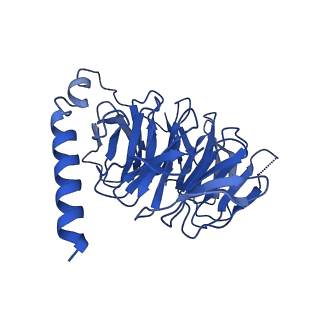 29955_8ge4_B_v1-2
CryoEM structure of beta-2-adrenergic receptor in complex with nucleotide-free Gs heterotrimer (#5 of 20)