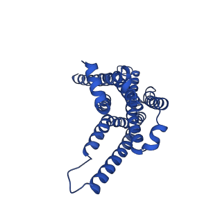 29955_8ge4_R_v1-2
CryoEM structure of beta-2-adrenergic receptor in complex with nucleotide-free Gs heterotrimer (#5 of 20)