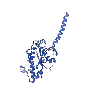 29956_8ge5_A_v1-1
CryoEM structure of beta-2-adrenergic receptor in complex with nucleotide-free Gs heterotrimer (#6 of 20)