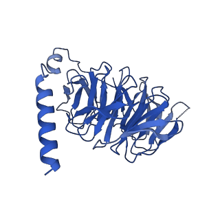 29956_8ge5_B_v1-1
CryoEM structure of beta-2-adrenergic receptor in complex with nucleotide-free Gs heterotrimer (#6 of 20)