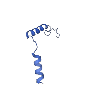 29956_8ge5_G_v1-1
CryoEM structure of beta-2-adrenergic receptor in complex with nucleotide-free Gs heterotrimer (#6 of 20)