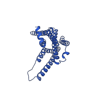 29956_8ge5_R_v1-1
CryoEM structure of beta-2-adrenergic receptor in complex with nucleotide-free Gs heterotrimer (#6 of 20)