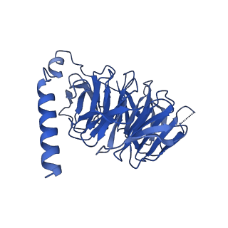 29958_8ge6_B_v1-1
CryoEM structure of beta-2-adrenergic receptor in complex with nucleotide-free Gs heterotrimer (#7 of 20)