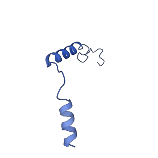 29958_8ge6_G_v1-1
CryoEM structure of beta-2-adrenergic receptor in complex with nucleotide-free Gs heterotrimer (#7 of 20)