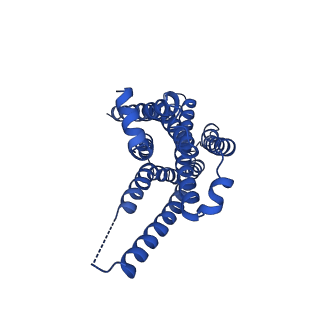 29958_8ge6_R_v1-1
CryoEM structure of beta-2-adrenergic receptor in complex with nucleotide-free Gs heterotrimer (#7 of 20)