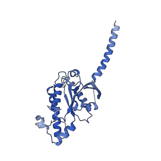 29959_8ge7_A_v1-1
CryoEM structure of beta-2-adrenergic receptor in complex with nucleotide-free Gs heterotrimer (#8 of 20)