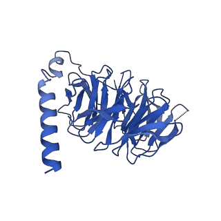 29959_8ge7_B_v1-1
CryoEM structure of beta-2-adrenergic receptor in complex with nucleotide-free Gs heterotrimer (#8 of 20)