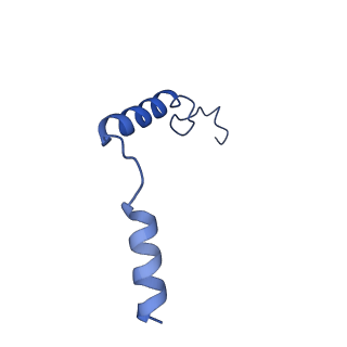 29959_8ge7_G_v1-1
CryoEM structure of beta-2-adrenergic receptor in complex with nucleotide-free Gs heterotrimer (#8 of 20)