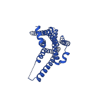 29959_8ge7_R_v1-1
CryoEM structure of beta-2-adrenergic receptor in complex with nucleotide-free Gs heterotrimer (#8 of 20)