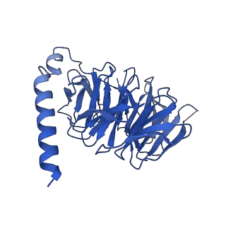 29960_8ge8_B_v1-1
CryoEM structure of beta-2-adrenergic receptor in complex with nucleotide-free Gs heterotrimer (#9 of 20)