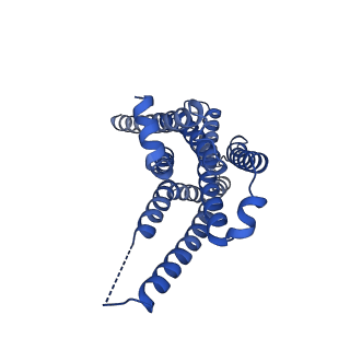 29960_8ge8_R_v1-1
CryoEM structure of beta-2-adrenergic receptor in complex with nucleotide-free Gs heterotrimer (#9 of 20)