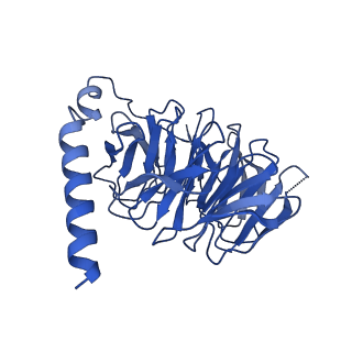 29961_8ge9_B_v1-1
CryoEM structure of beta-2-adrenergic receptor in complex with nucleotide-free Gs heterotrimer (#10 of 20)