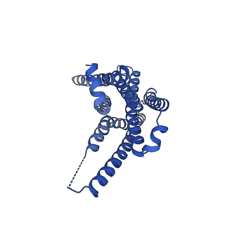 29961_8ge9_R_v1-1
CryoEM structure of beta-2-adrenergic receptor in complex with nucleotide-free Gs heterotrimer (#10 of 20)