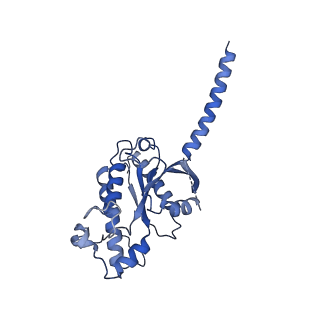 29962_8gea_A_v1-1
CryoEM structure of beta-2-adrenergic receptor in complex with nucleotide-free Gs heterotrimer (#11 of 20)