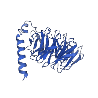 29962_8gea_B_v1-1
CryoEM structure of beta-2-adrenergic receptor in complex with nucleotide-free Gs heterotrimer (#11 of 20)