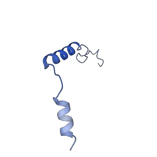 29962_8gea_G_v1-1
CryoEM structure of beta-2-adrenergic receptor in complex with nucleotide-free Gs heterotrimer (#11 of 20)