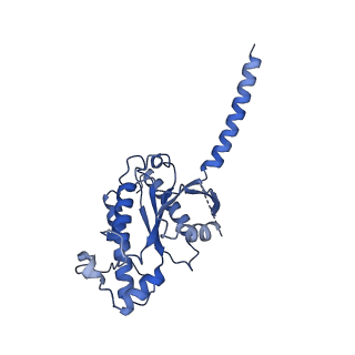 29964_8geb_A_v1-1
CryoEM structure of beta-2-adrenergic receptor in complex with nucleotide-free Gs heterotrimer (#12 of 20)