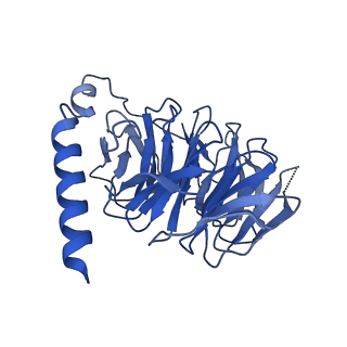 29964_8geb_B_v1-1
CryoEM structure of beta-2-adrenergic receptor in complex with nucleotide-free Gs heterotrimer (#12 of 20)