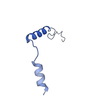 29964_8geb_G_v1-1
CryoEM structure of beta-2-adrenergic receptor in complex with nucleotide-free Gs heterotrimer (#12 of 20)