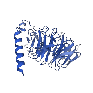 29965_8gec_B_v1-1
CryoEM structure of beta-2-adrenergic receptor in complex with nucleotide-free Gs heterotrimer (#13 of 20)