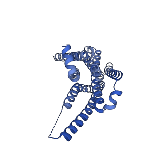 29965_8gec_R_v1-1
CryoEM structure of beta-2-adrenergic receptor in complex with nucleotide-free Gs heterotrimer (#13 of 20)