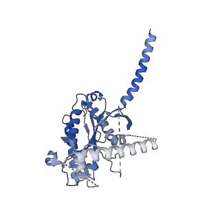 29966_8ged_A_v1-1
CryoEM structure of beta-2-adrenergic receptor in complex with nucleotide-free Gs heterotrimer (#14 of 20)