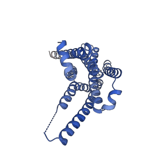 29966_8ged_R_v1-1
CryoEM structure of beta-2-adrenergic receptor in complex with nucleotide-free Gs heterotrimer (#14 of 20)