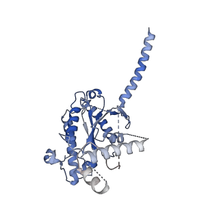 29967_8gee_A_v1-1
CryoEM structure of beta-2-adrenergic receptor in complex with nucleotide-free Gs heterotrimer (#15 of 20)