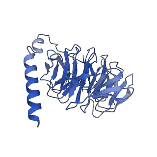 29967_8gee_B_v1-1
CryoEM structure of beta-2-adrenergic receptor in complex with nucleotide-free Gs heterotrimer (#15 of 20)