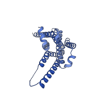 29967_8gee_R_v1-1
CryoEM structure of beta-2-adrenergic receptor in complex with nucleotide-free Gs heterotrimer (#15 of 20)