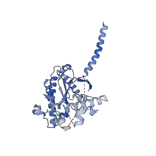 29968_8gef_A_v1-2
CryoEM structure of beta-2-adrenergic receptor in complex with nucleotide-free Gs heterotrimer (#16 of 20)