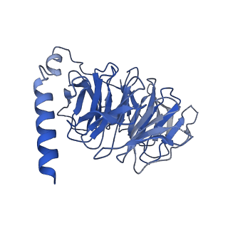 29968_8gef_B_v1-2
CryoEM structure of beta-2-adrenergic receptor in complex with nucleotide-free Gs heterotrimer (#16 of 20)