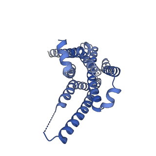 29968_8gef_R_v1-2
CryoEM structure of beta-2-adrenergic receptor in complex with nucleotide-free Gs heterotrimer (#16 of 20)