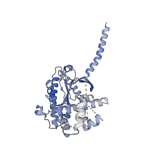 29969_8geg_A_v1-2
CryoEM structure of beta-2-adrenergic receptor in complex with nucleotide-free Gs heterotrimer (#17 of 20)