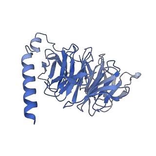 29969_8geg_B_v1-2
CryoEM structure of beta-2-adrenergic receptor in complex with nucleotide-free Gs heterotrimer (#17 of 20)