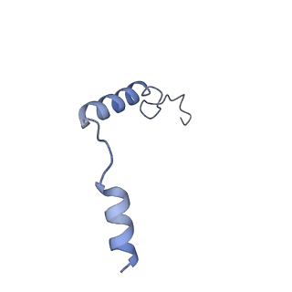 29969_8geg_G_v1-2
CryoEM structure of beta-2-adrenergic receptor in complex with nucleotide-free Gs heterotrimer (#17 of 20)