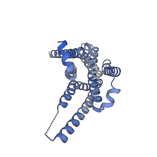 29969_8geg_R_v1-2
CryoEM structure of beta-2-adrenergic receptor in complex with nucleotide-free Gs heterotrimer (#17 of 20)