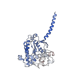 29970_8geh_A_v1-2
CryoEM structure of beta-2-adrenergic receptor in complex with nucleotide-free Gs heterotrimer (#18 of 20)